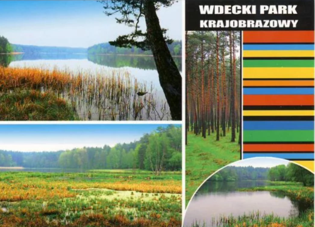 Laureaci konkursu Wdeckiego Parku Krajobrazowego - Obrazek 1