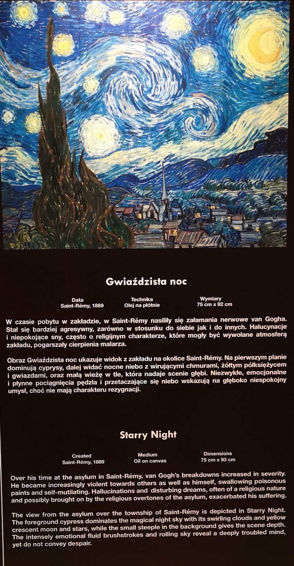 Van Gogh Multi-Sensory Exhibition Gdańsk - Obrazek 6