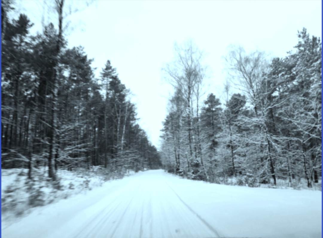 Krajobraz zimowy - droga przez las