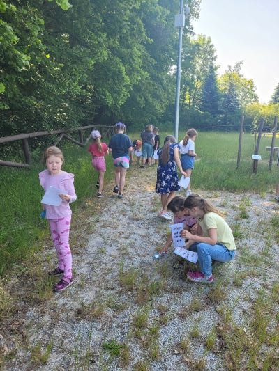 Uczniowie szukają okazów owadów w terenie