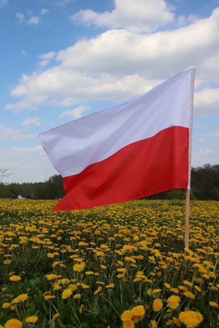 2 Maja - Dzień Flagi Rzeczypospolitej Polskiej - Obrazek 5